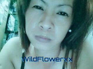 WildFlowerxx