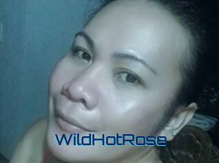 WildHotRose