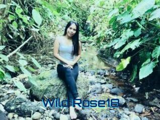 Wild_Rose18