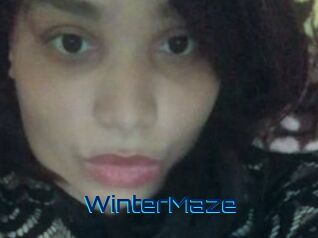 Winter_Maze