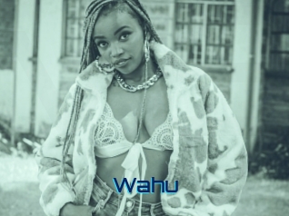 Wahu