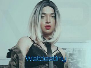Wetdestiny