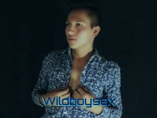 Wildboysex