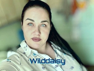 Wilddaisy