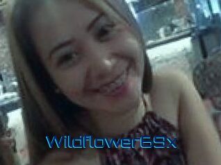 Wildflower69x