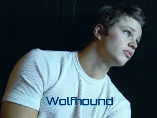 Wolfhound