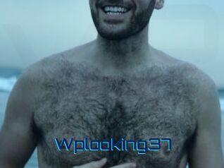 wplooking37 Vidéos de Cul FR
