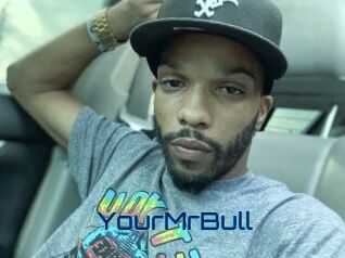 YourMrBull