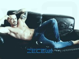 ZECElei