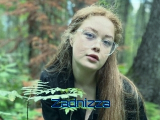 Zadnizza