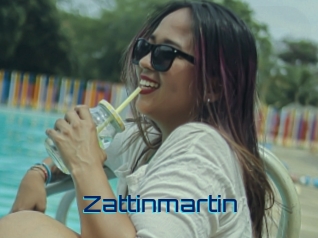 Zattinmartin