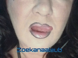 Zoekanaalsub